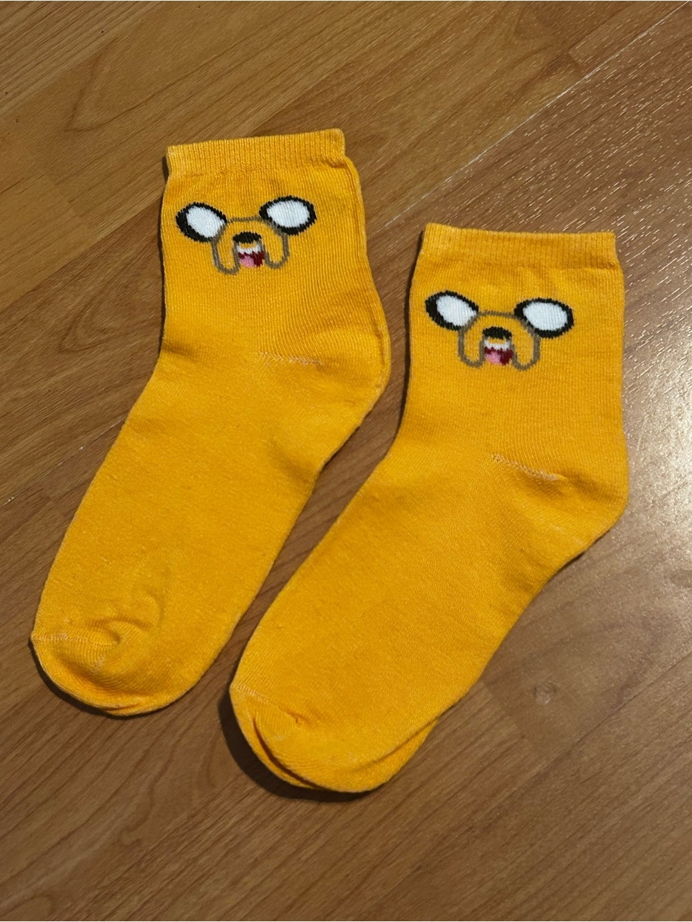 Playful Adventure Jake the Dog Socks